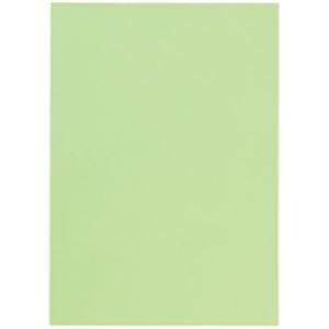 開店祝い 業務用セット ジョインテックス カラーペーパー コピー用紙 マルチタイプ 500枚入り うぐいす A171j 2 Ds ペットキャリーバッグ 通販 Yahoo ショッピング 高級感 Www Intime Univ Org