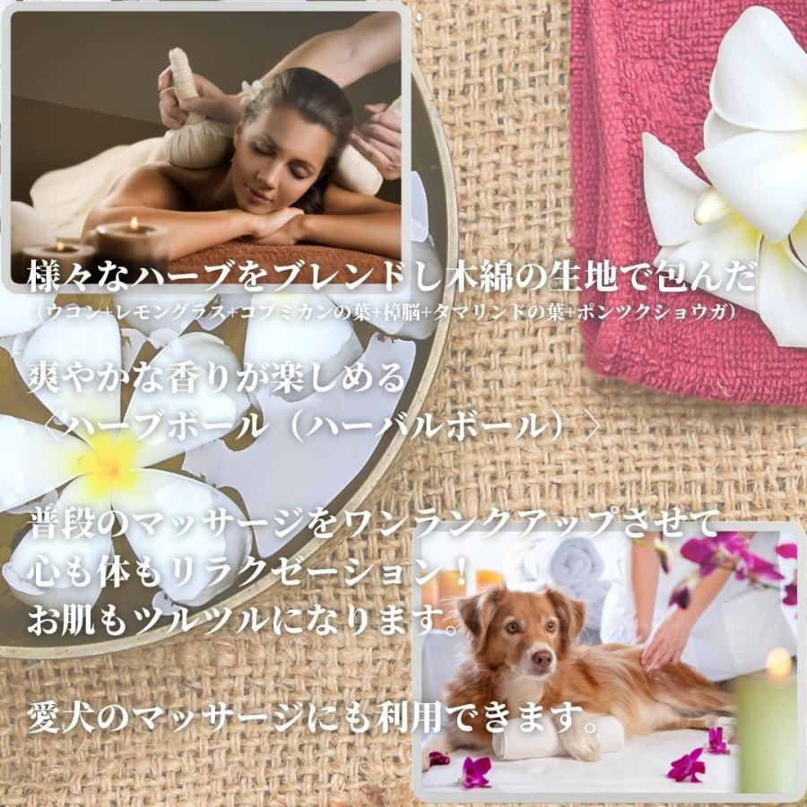 ハーブボール（ハーバルボール）100g マッサージボール 美容 犬