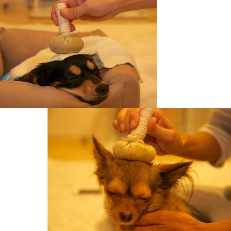 ハーブボール（ハーバルボール）150g マッサージボール 美容 犬