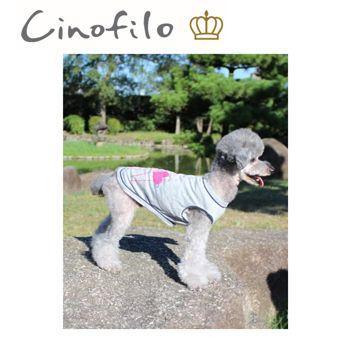 チノフィロ アウトラストPT TIOTIO Tシャツ L グレー : ペット用品の おまけ用チノフィロMサイズ服