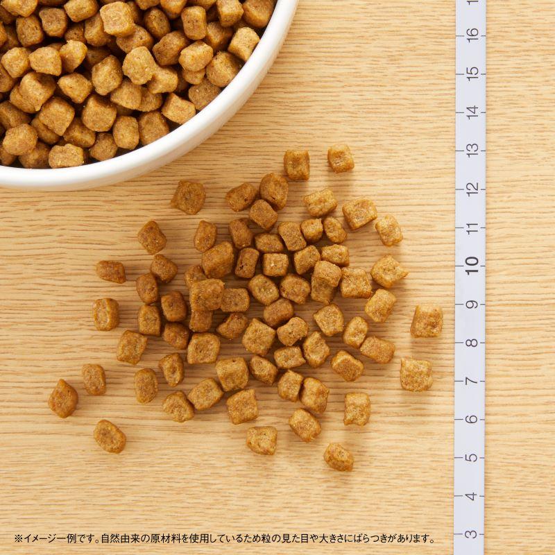ナチュラルチョイス ナチュラルチョイス 小型犬用成犬用生後8ヶ月以上