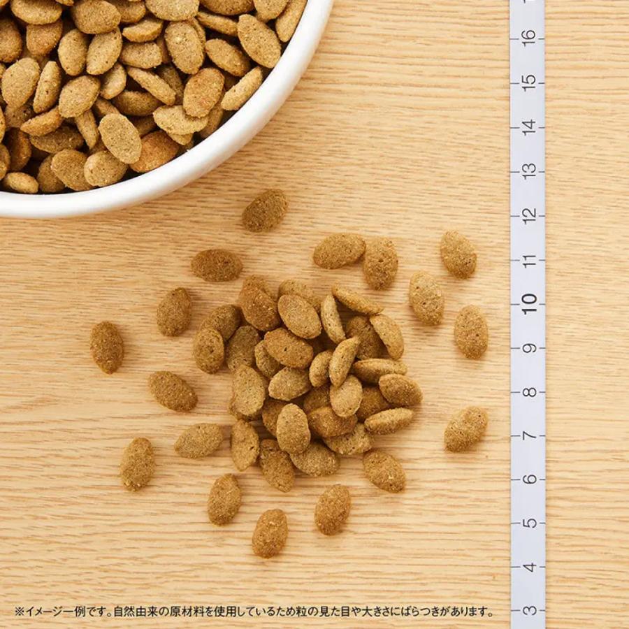 シュプレモ Supremo シュプレモ 超小型犬〜小型犬用 体重管理用 6kg