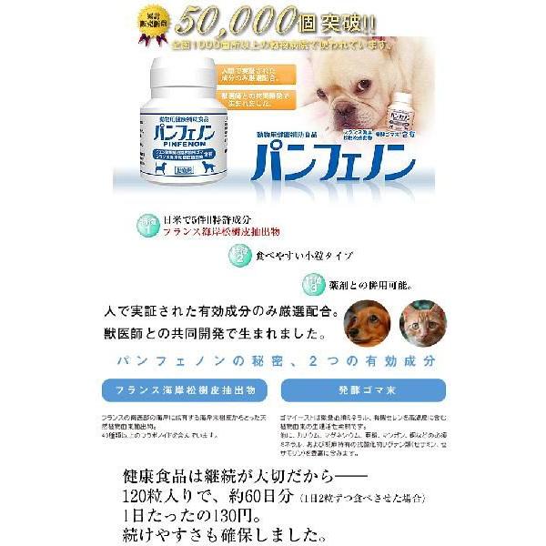スケアクロウ パンフェノン 1粒 Pw ペット用品と雑貨のpetwill 通販 Yahoo ショッピング