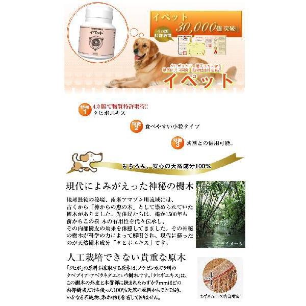 １個から送料 スケアクロウ イペットS 60粒　タヒボ　TAHEEBO Amazon | スケアクロウ イペットS | スケアクロウ | ビタミン