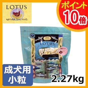 ロータス　グレインフリー　フィッシュレシピ　小粒　2.27kg　正規品｜petwill30