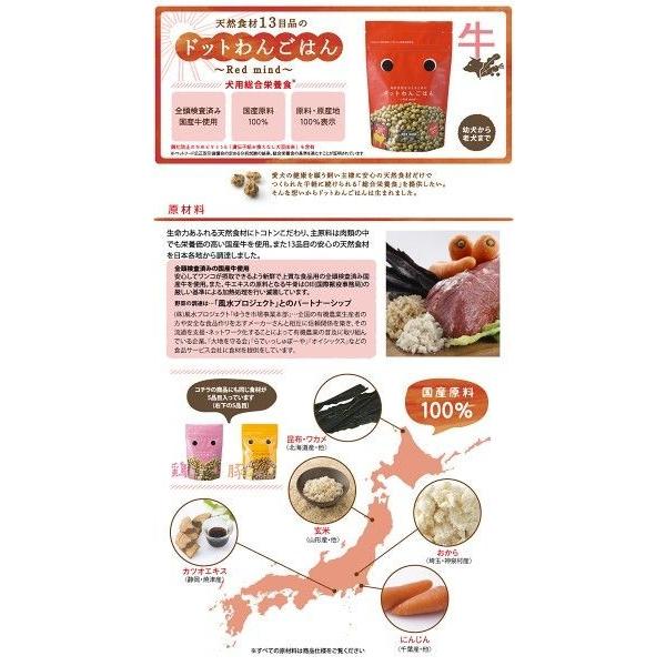 ドットわん キャンペーン ドットわんごはん Red mind お徳用パック3kg