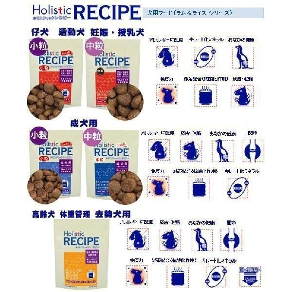 Holistic RECIPE ホリスティックレセピー　ラム&amp;ライス　高齢犬用 ホリスティックレセピー ラム＆ライス シニア ( 18.1kg