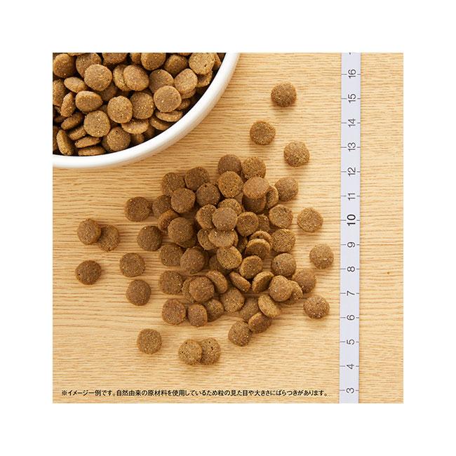 ニュートロ キャット ワイルドレシピ エイジングケア チキン シニア猫