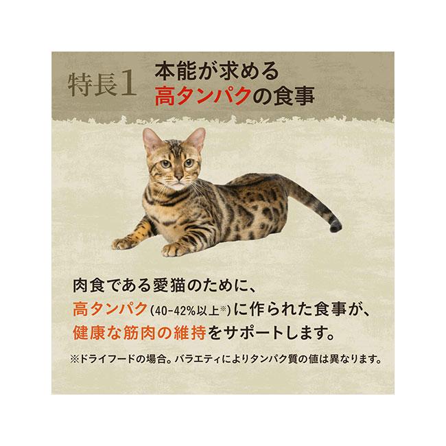 ニュートロ キャット ワイルドレシピ エイジングケア チキン シニア猫