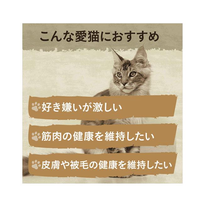 ニュートロ キャット ワイルドレシピ エイジングケア チキン シニア猫