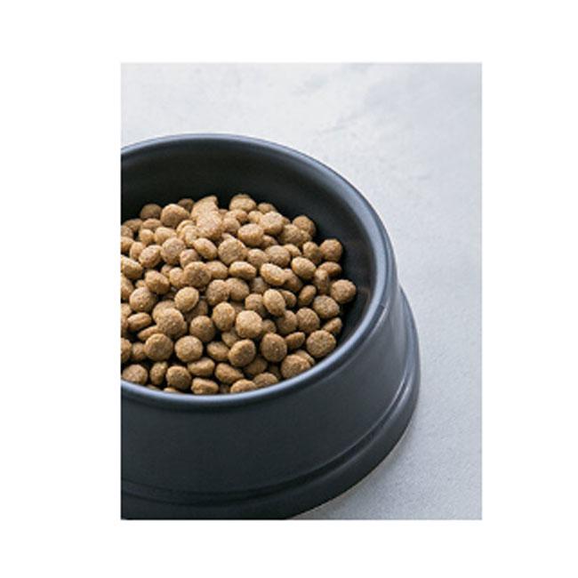プロフェッショナル・バランス ペットライン 7歳から 1kg : ペット用品