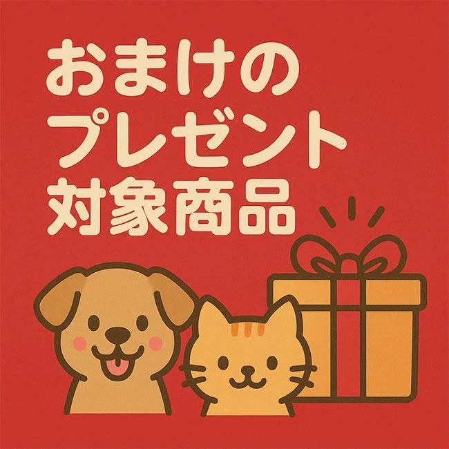 ソルビダ（SOLVIDA） ドッグフード グレインフリー チキン 室内飼育7
