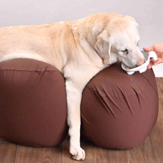 リラクッション S 　（ブラウン） リラクッション ブラウン S : ペット用品のPETWILL - 通販 - Yahoo