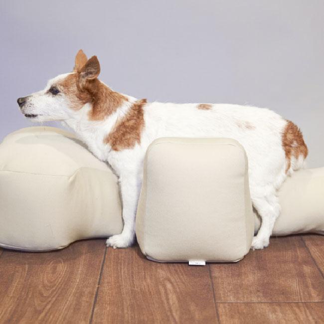OneAid リラクッションブルー＋カバー サイズS : ペット用品のPETWILL