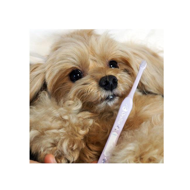 OraBio オーラバイオブラシ ミニ ラベンダーセット | OraBio | 04