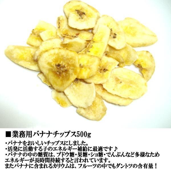 犬 おやつ 無添加 業務用バナナチップス500g 無着色 957 ペット良品倶楽部ヤフー店 通販 Yahoo ショッピング