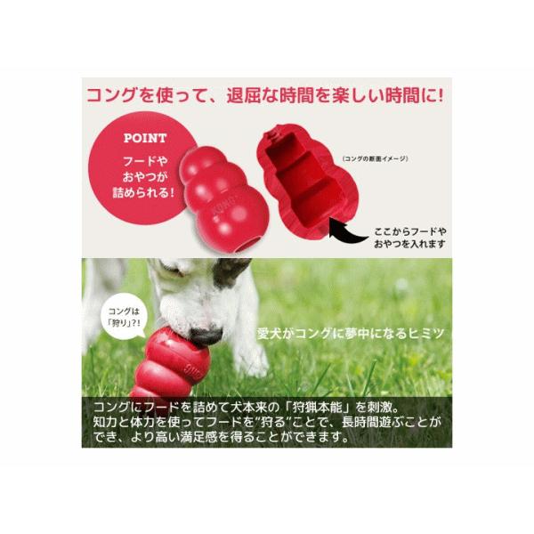 犬 おもちゃ ブラックコング M 正規品 犬 犬用おもちゃ : ペット良品