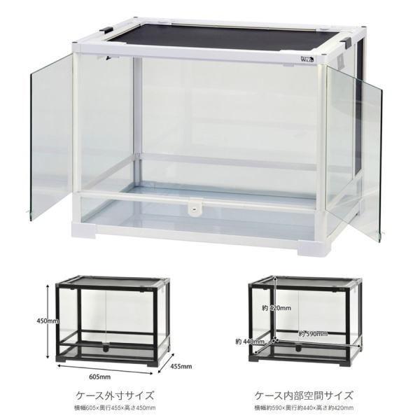 三晃商会 パンテオンカノン ホワイト WH6045 : ペット良品倶楽部