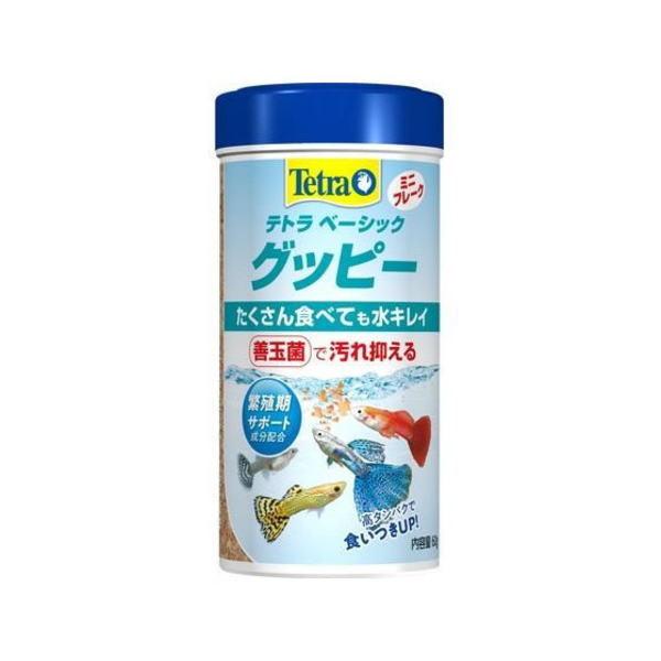 テトラ　 ベーシック　 グッピー 　60g×108個（ケース販売）