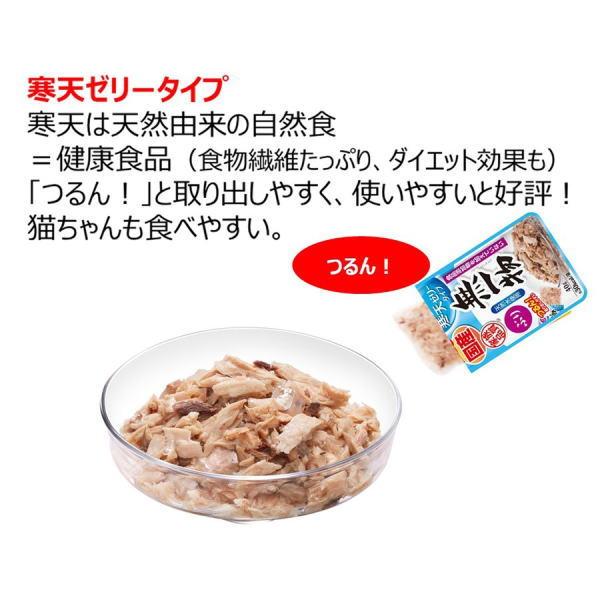 はごろもフーズ 無一物パウチ 寒天ゼリー ぶり 40g×96個（ケース販売