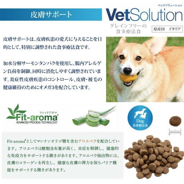 VetSolution ジャパンペット ベッツ ソリューション 皮膚