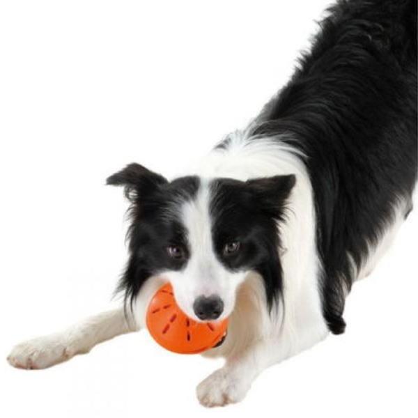 ビジーバディ 犬 おもちゃ 噛む リッチェル ビジーバディ ツイスト