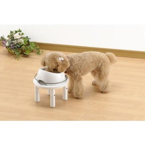 リッチェル（Richell） 犬猫用食器台 ペット用 木製テーブル シングル