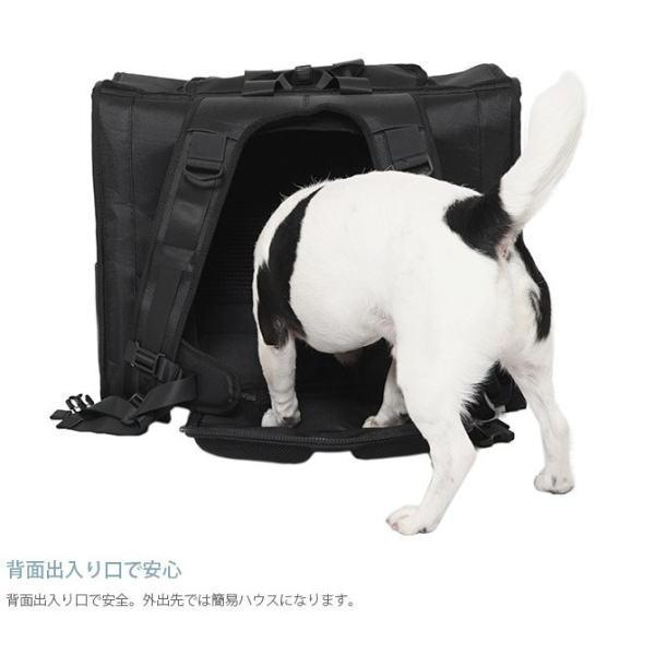 MANDARINE BROTHERS（マンダリンブラザーズ） 犬用 ブリクストン