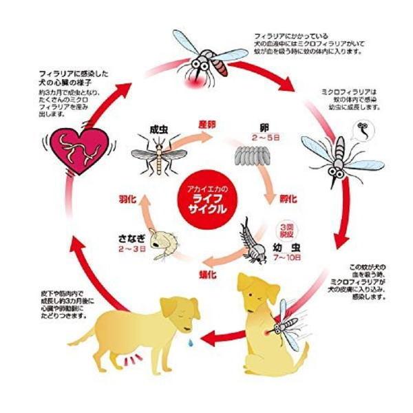 アース ペット 動物用医薬部外品 ペット用アースノーマット60取替えボトル 45ml W448 ペット良品倶楽部ヤフー店 通販 Yahoo ショッピング