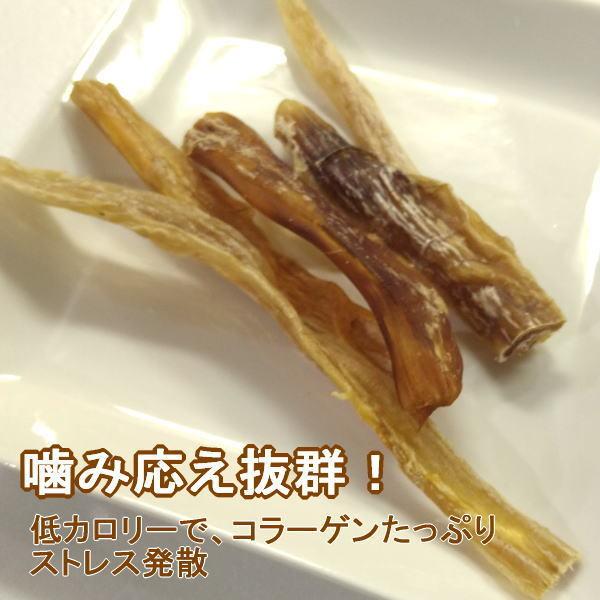 馬アキレス ショート ハード 50g CABALLO 無添加・無着色 犬用おやつ｜【訳あり商品】馬アキレスショートハード（50g