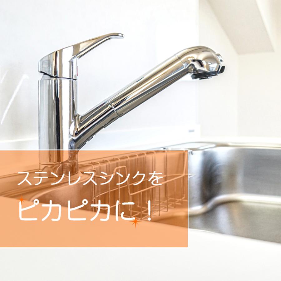 美シリーズ ステンレスシンク用コーティングキット ステンレスシンク用洗剤とコーティング剤のセット キッチンシンク ガラスコーティング クリックポスト対応 Bs Sink お掃除ソムリエ ヤフー店 通販 Yahoo ショッピング