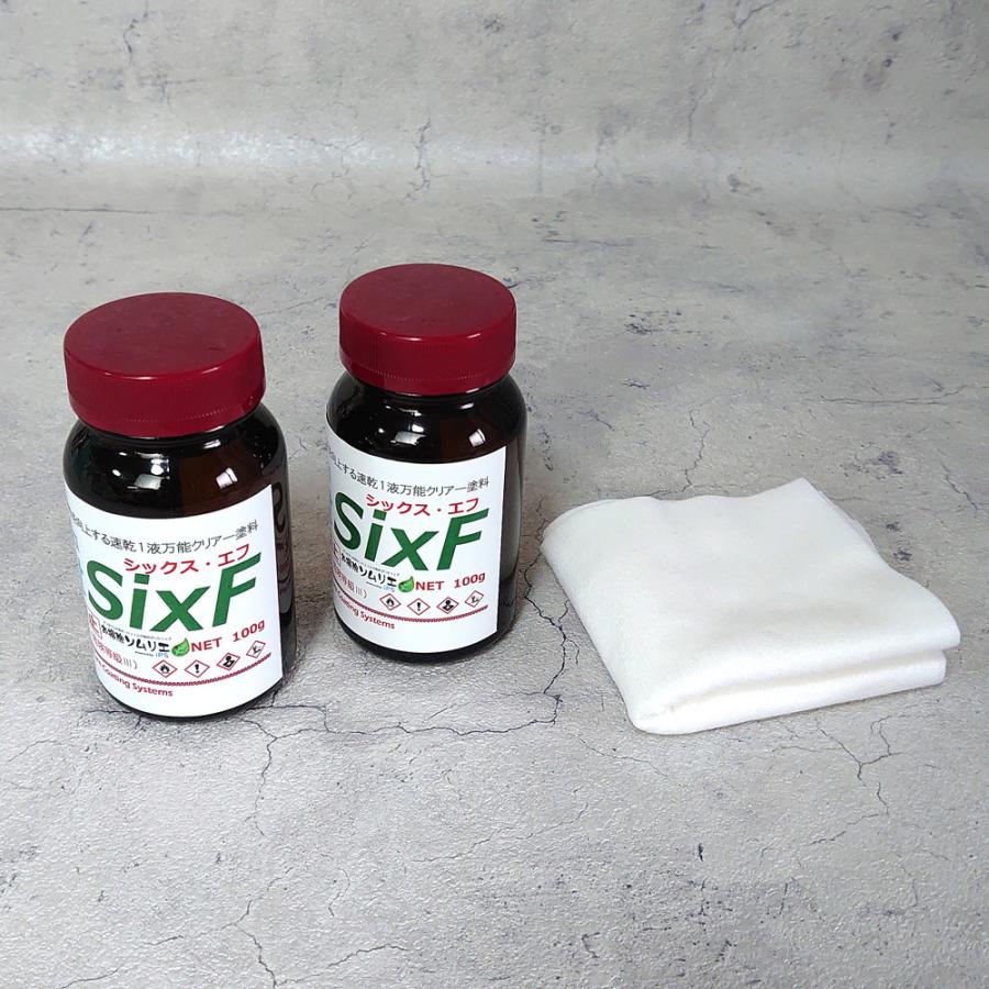ガラス系コーティング剤 シックス・エフ SixF 200g 浴槽 シンク 洗面 トイレ その他水回り コーティング 艶 光沢 復活 ...