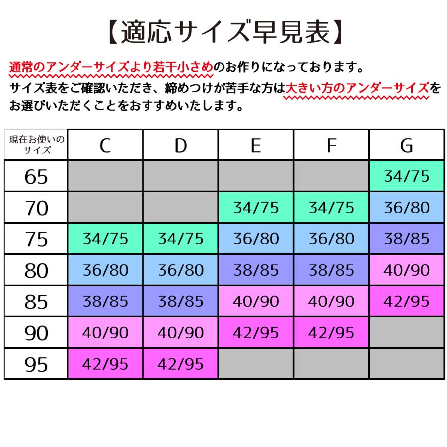 ブラジャー 小さく見せる 大きいサイズ 大きいブラ 着痩せ すっきり産後 補正下着 ナイトブラ レース かわいい レディース |  | 15