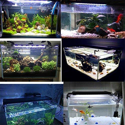 Lightess アクアリウムライト Led 水槽 ライト 水槽用 照明 2つ照明モード 30 50cm水槽対応 調節可能長寿命 省エネ 観賞魚 熱帯 S Rlex Co 通販 Yahoo ショッピング