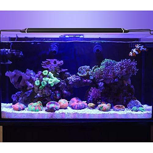 水槽ライト アクアリウムライト Led 熱帯魚ライト 水槽照明 24w 48led 2つの照明モード スライド式45cm 50cm 60cm 水槽対応 S Rlex Co 通販 Yahoo ショッピング