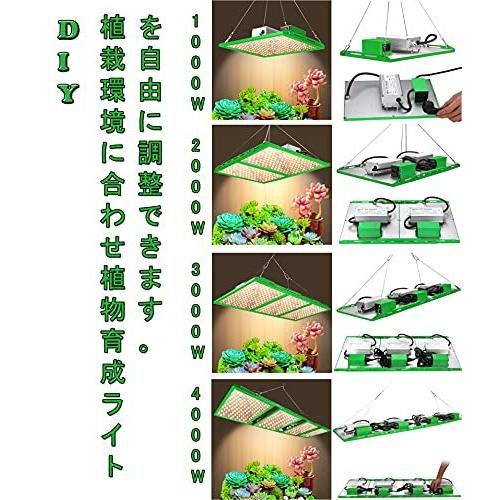年のクリスマスの特別な衣装 Led光合成ライト 植物育成ライト デイジーチェーン機能 Aokyoung 21最新版 1000w Lm281b ライトチップ Samsung 乾物 乾燥豆類 缶詰 Meorboston Org