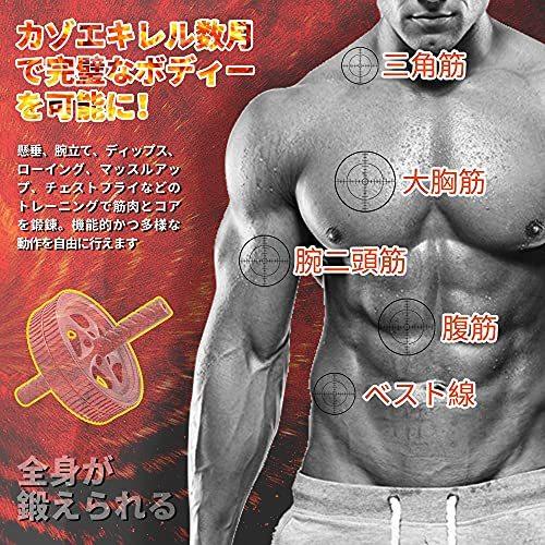 人気商品の アブホイール 腹筋ローラー アブローラー エクササイズローラー スリムトレーナー 静音 腹筋 二輪付き ブラック Topdental Com Ar