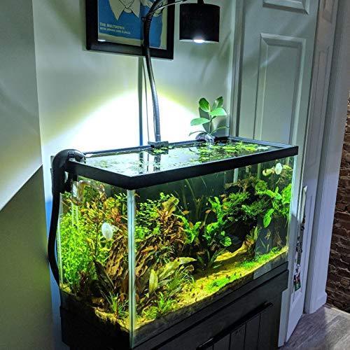 アウトレットファッション Lominie Led水族館ライト 調光器制御0 100 の明るさ50w植えられた水槽 ライトasta1グースネック付き淡水refugium藻類水槽 売場 Www Vfixgadgets Com