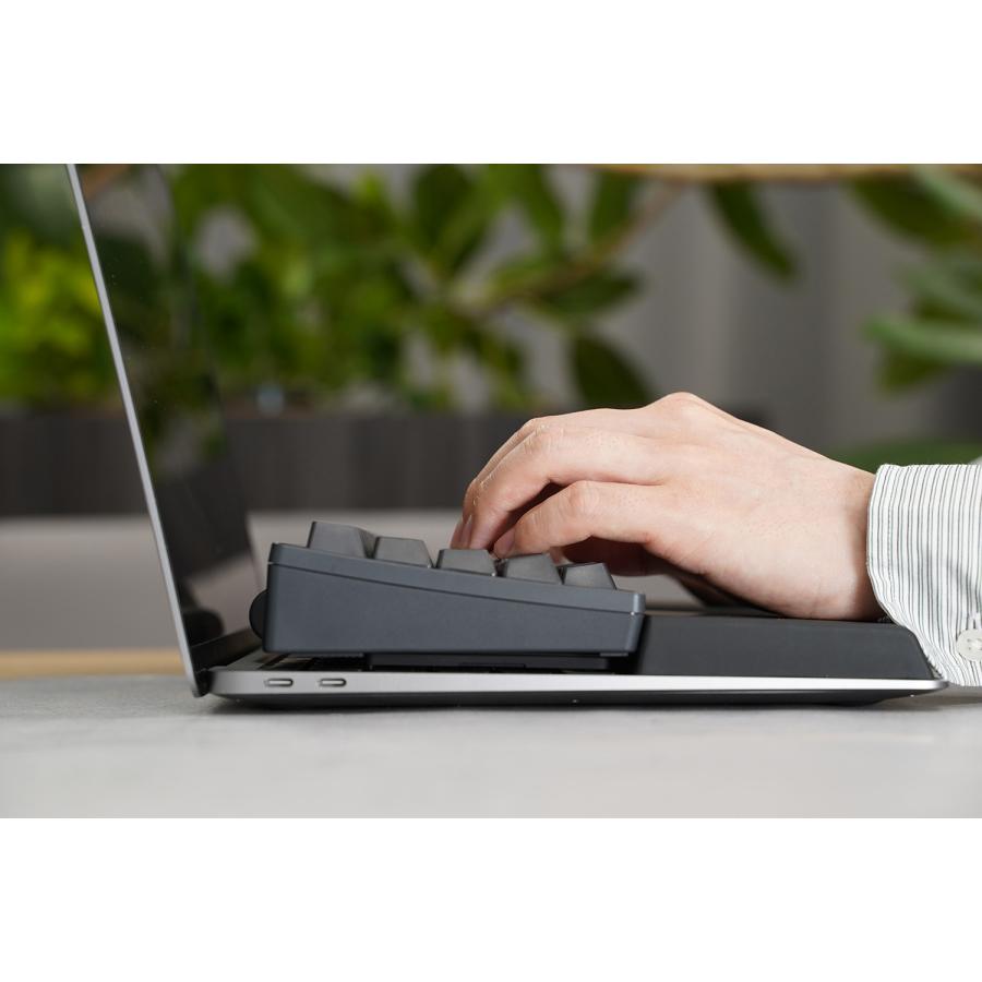 PFU HHKB Professional HYBRID Type-S 英語配列/無刻印「墨