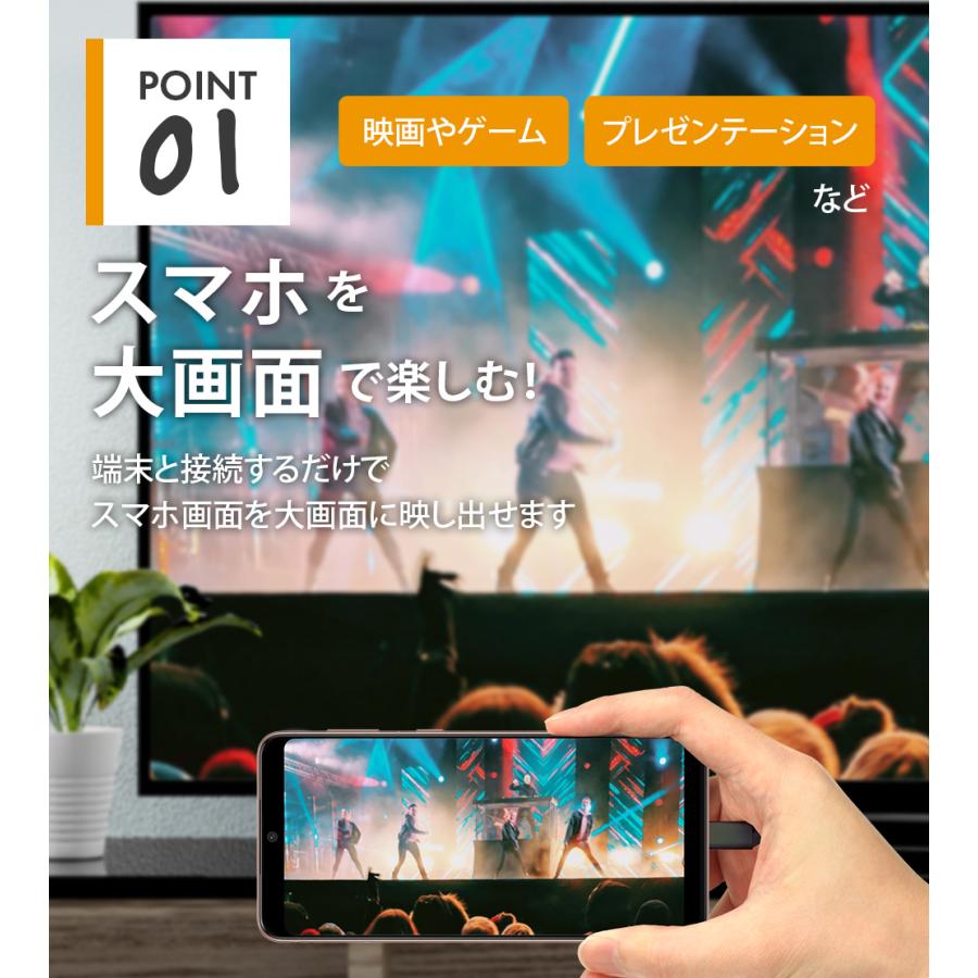 Premium Style ミラーリングケーブル HDMI 2m 200cm USB Type-C