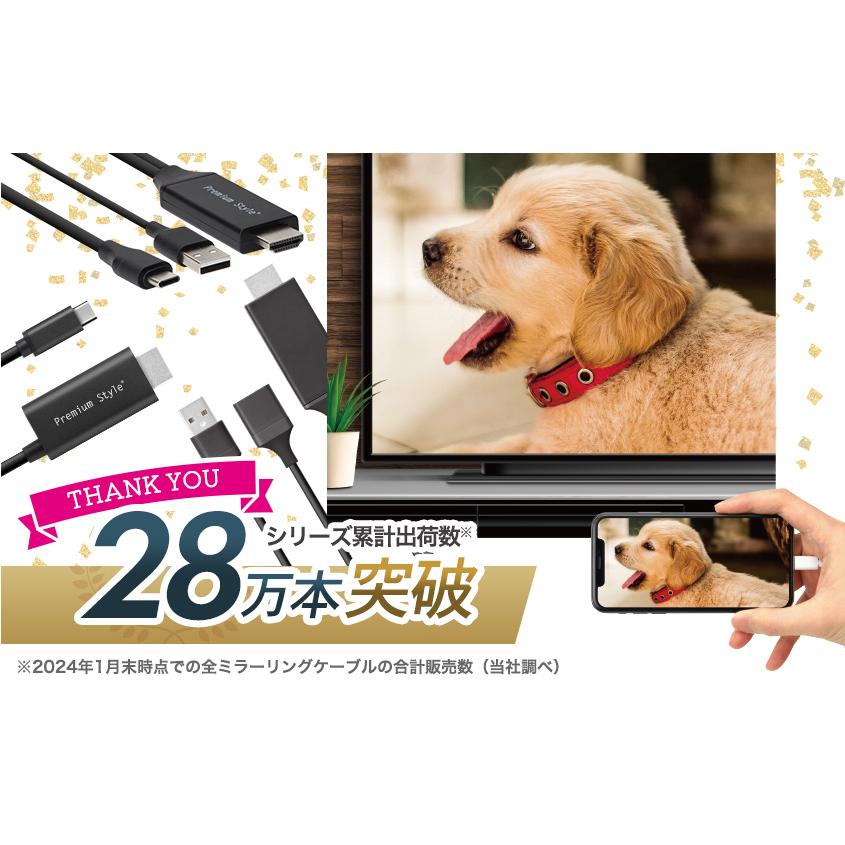 Premium Style ミラーリングケーブル HDMI 3m 300cm USB Type-C