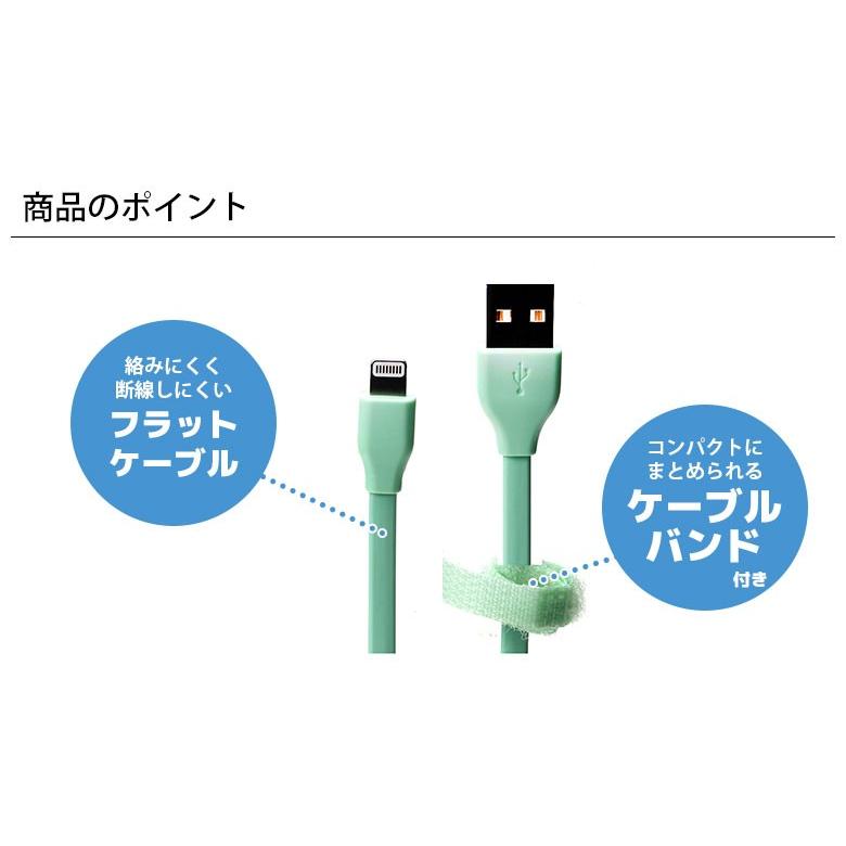 アウトレット USBケーブル 通信 充電 USB Type-A Lightning コネクタ 50cm フラット 平型 ケーブル MFi｜pg-a｜02