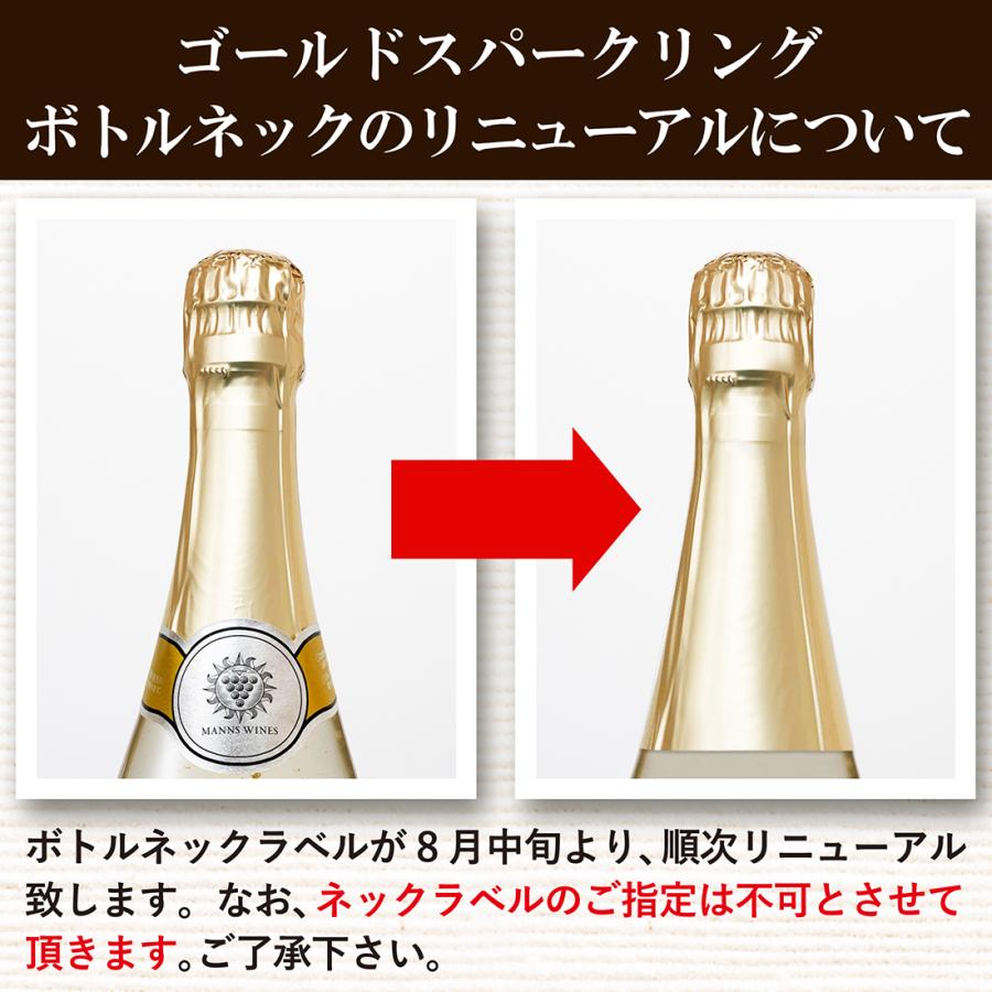 2025 クリスマス スパークリングワイン シャンパン 名入れ オリシャン