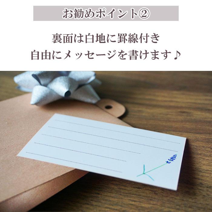メッセージカード 誕生日用 10枚セット おしゃれ シンプル 名刺サイズ ギフト プレゼント 送料無料｜pg-gakuen｜06