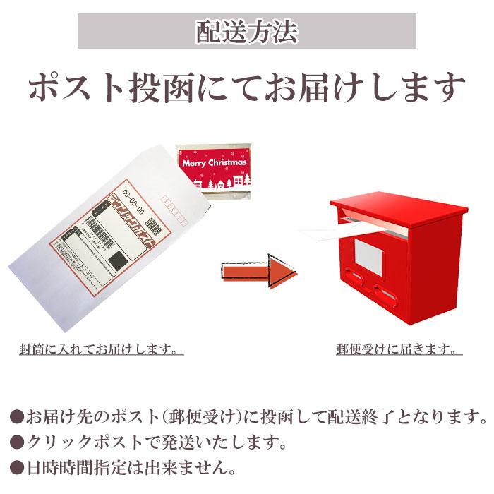 メッセージカード クリスマス用 10枚セット おしゃれ シンプル 名刺サイズ ギフト プレゼント 送料無料｜pg-gakuen｜09