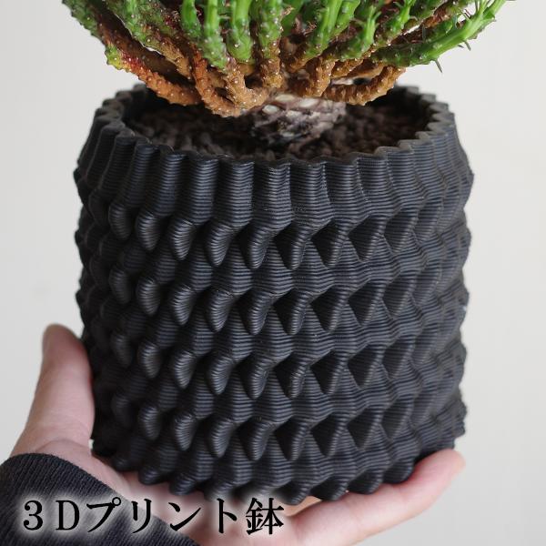 3D鉢 陶器鉢 美しい黒 シリンダー型 3Dプリンター 直径11cm : 観葉植物