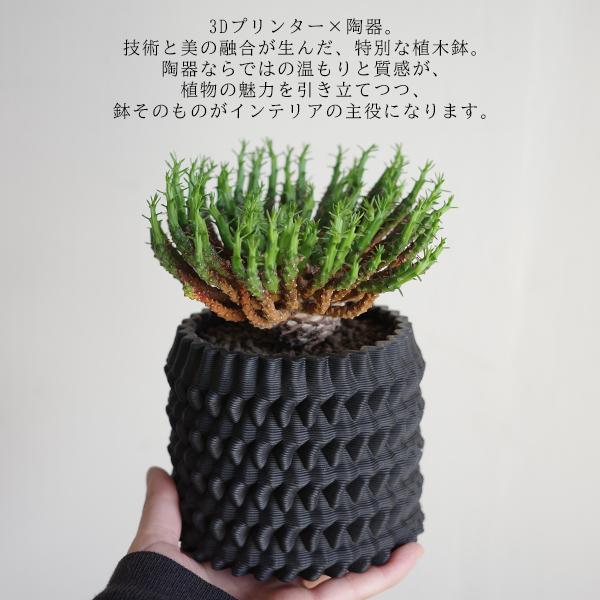 3D鉢 陶器鉢 美しい黒 シリンダー型 3Dプリンター 直径11cm : 観葉植物