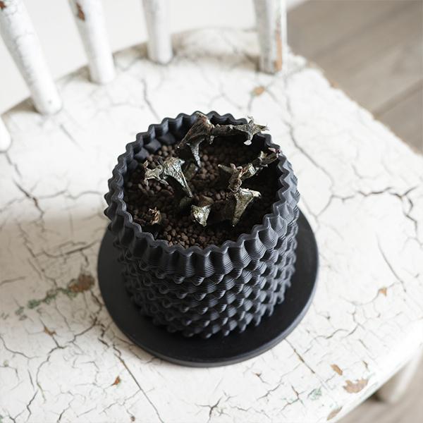 3D鉢 陶器鉢 美しい黒 シリンダー型 3Dプリンター 直径11cm : 観葉植物