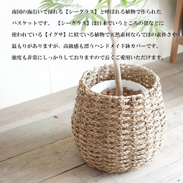 カゴ花器8点 鉢カバー 8号 8号鉢がすっぽり 手編みバスケット 送料無料 大鉢用 8号