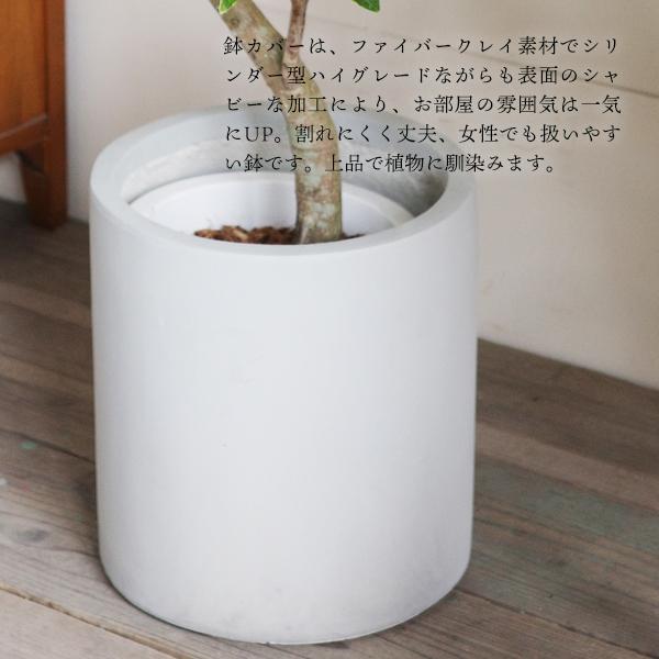 フィカス アルテシーマ ファイバー鉢カバー付き シリンダー アイボリー